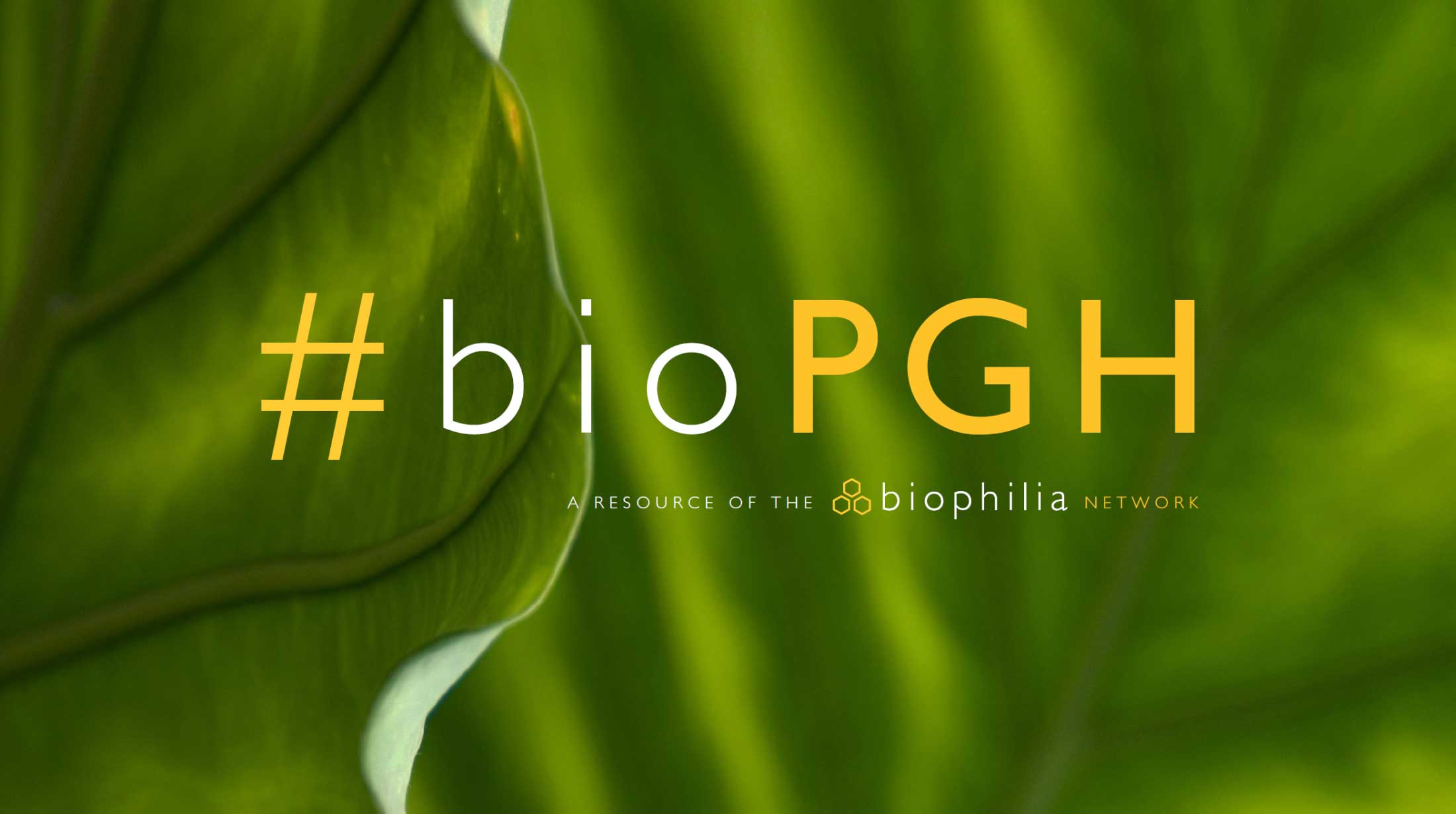 #bioPGH博客